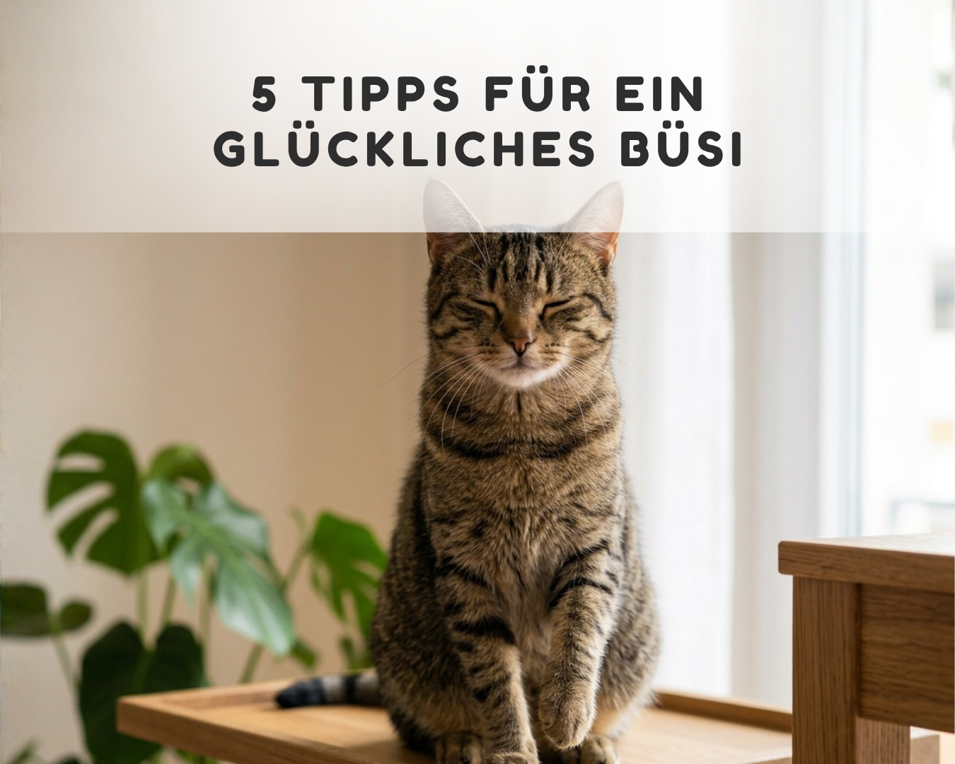 Katzenpsychologie im Alltag: Getigertes Büsi zeigt Slow Blinking auf einem erhöhten Holzplatz zur Entspannung und Vertrauensbildung.