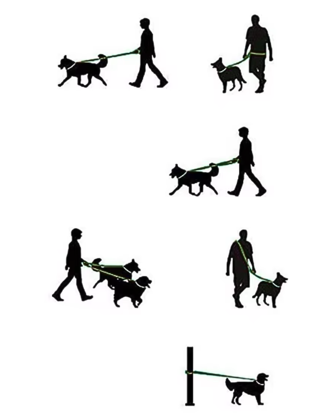 AniLux 5-in-1 Multifunktionsleine für Hunde