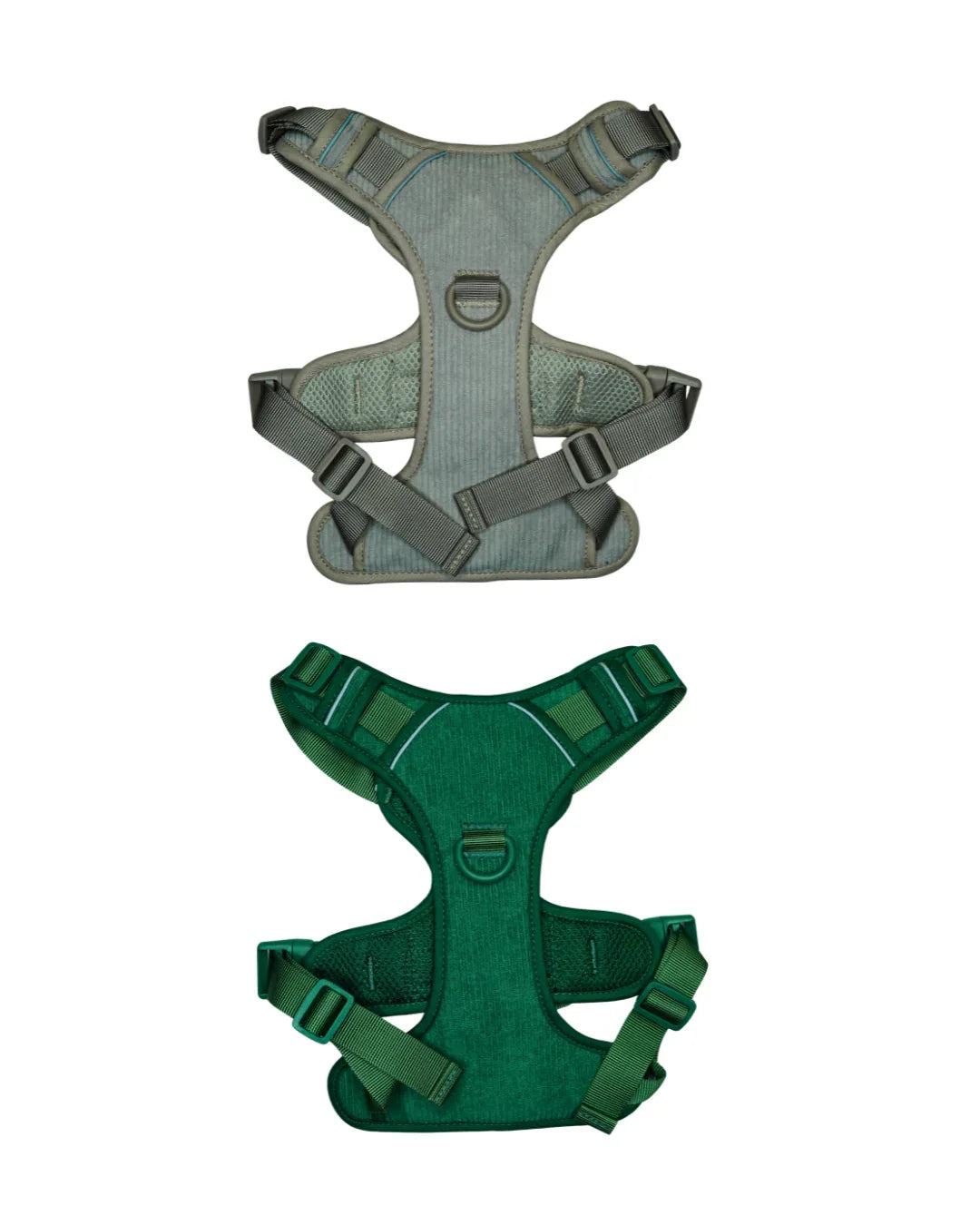 AniLux Hundegeschirr Manchester