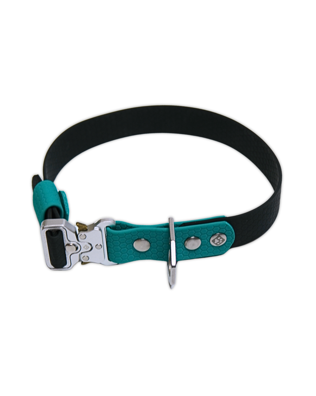 AniLux Hundehalsband Edelstahl - Grün und Schwarz