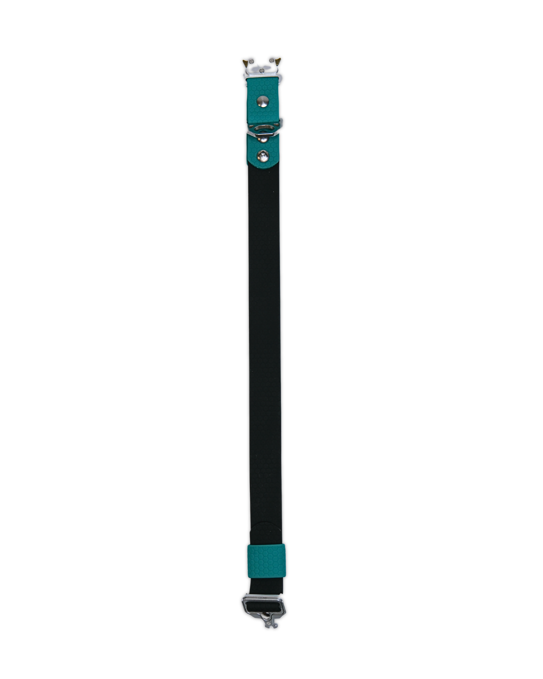 AniLux Hundehalsband Edelstahl - Grün und Schwarz