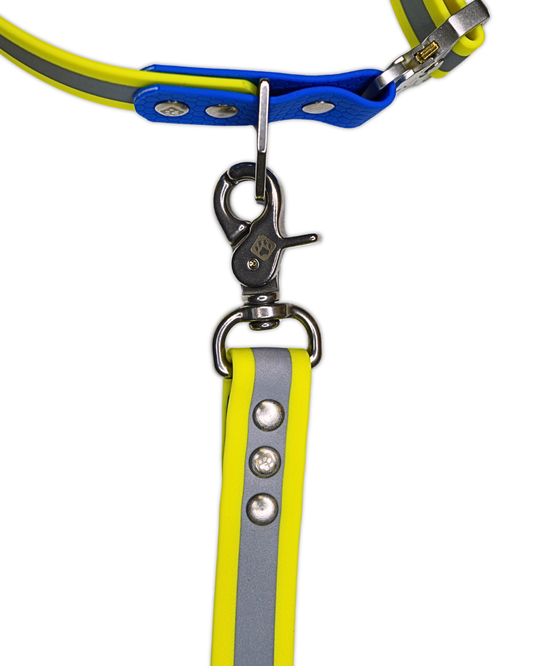 AniLux Hundeleine & Halsband Set - Reflektor Gelb und Blau