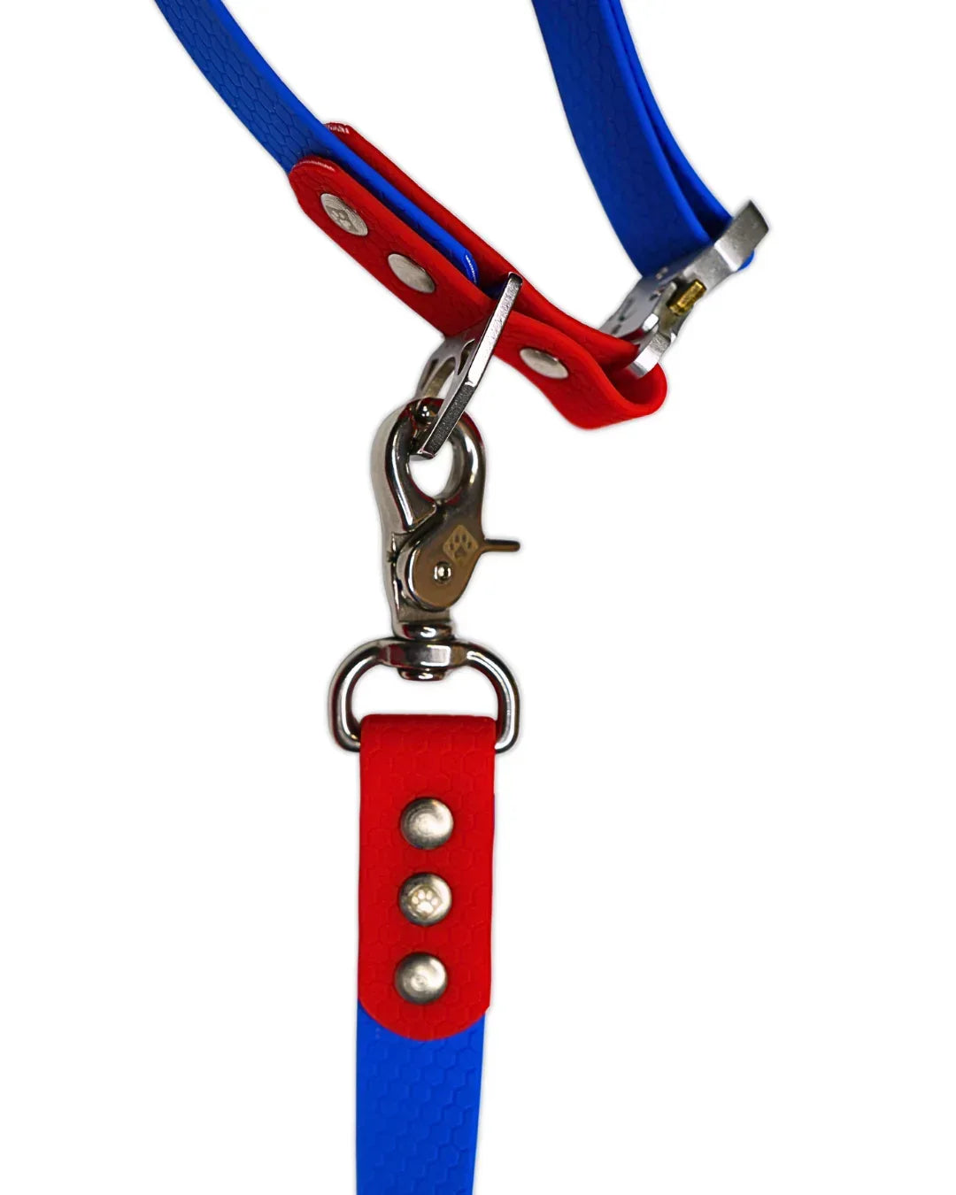 AniLux Hundeleine & Halsband Set - Rot und Blau