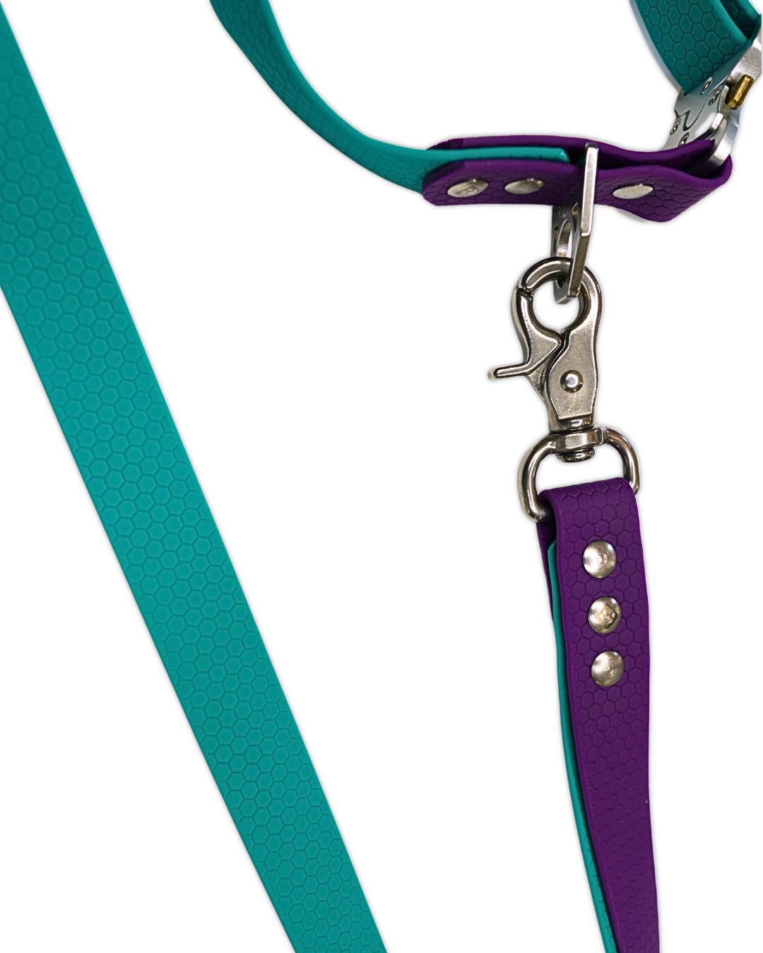 AniLux Hundeleine & Halsband Set - Violett und Grün