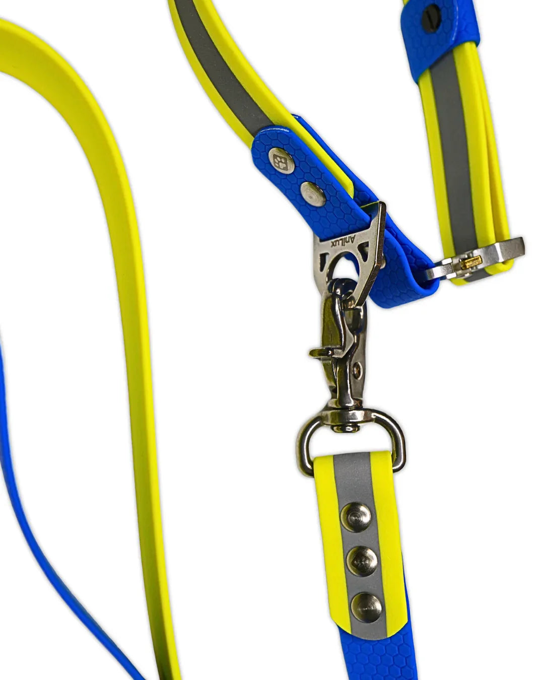 AniLux Hundeleine & Halsband Set - Reflektor Gelb und Blau - AniLux