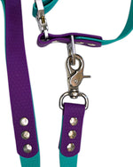 AniLux Hundeleine & Halsband Set - Violett und Grün - AniLux