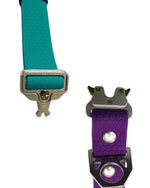 AniLux Hundeleine & Halsband Set - Violett und Grün - AniLux