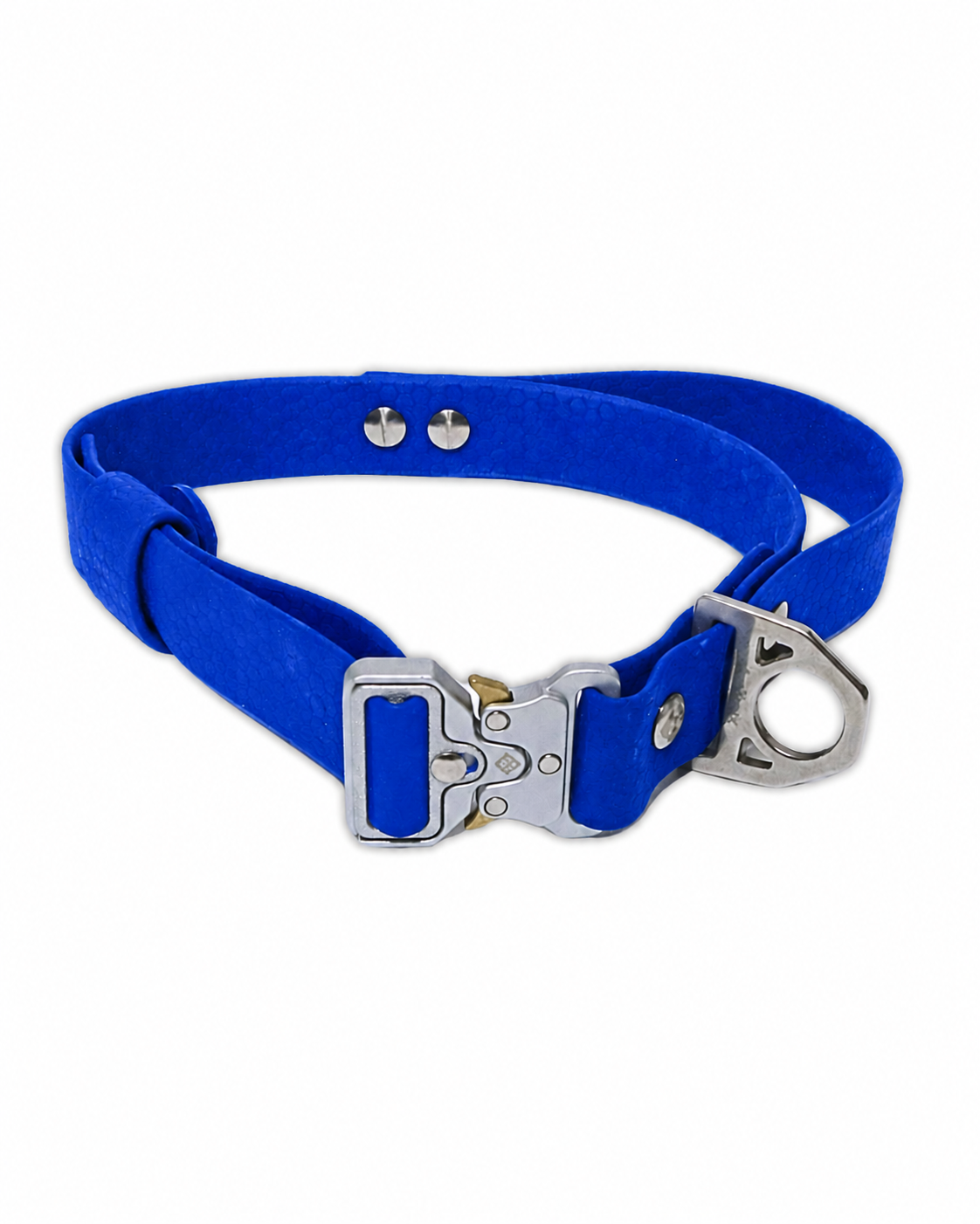AniLux Hundehalsband Edelstahl mit Griff - Blau