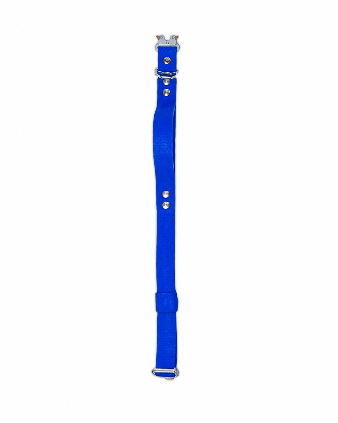 AniLux Hundehalsband Edelstahl mit Griff - Blau