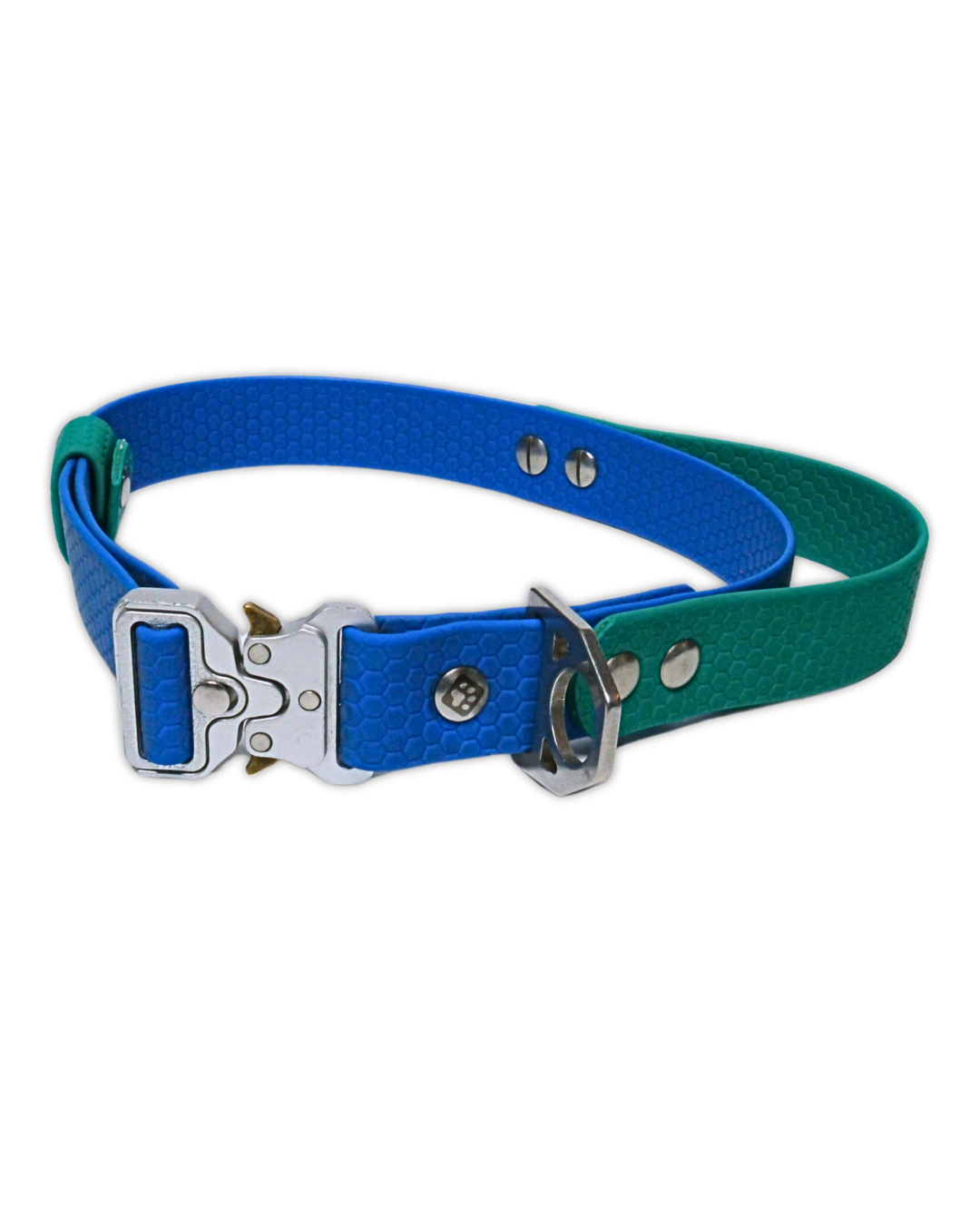 AniLux Hundehalsband Edelstahl mit Griff - Grün und Blau