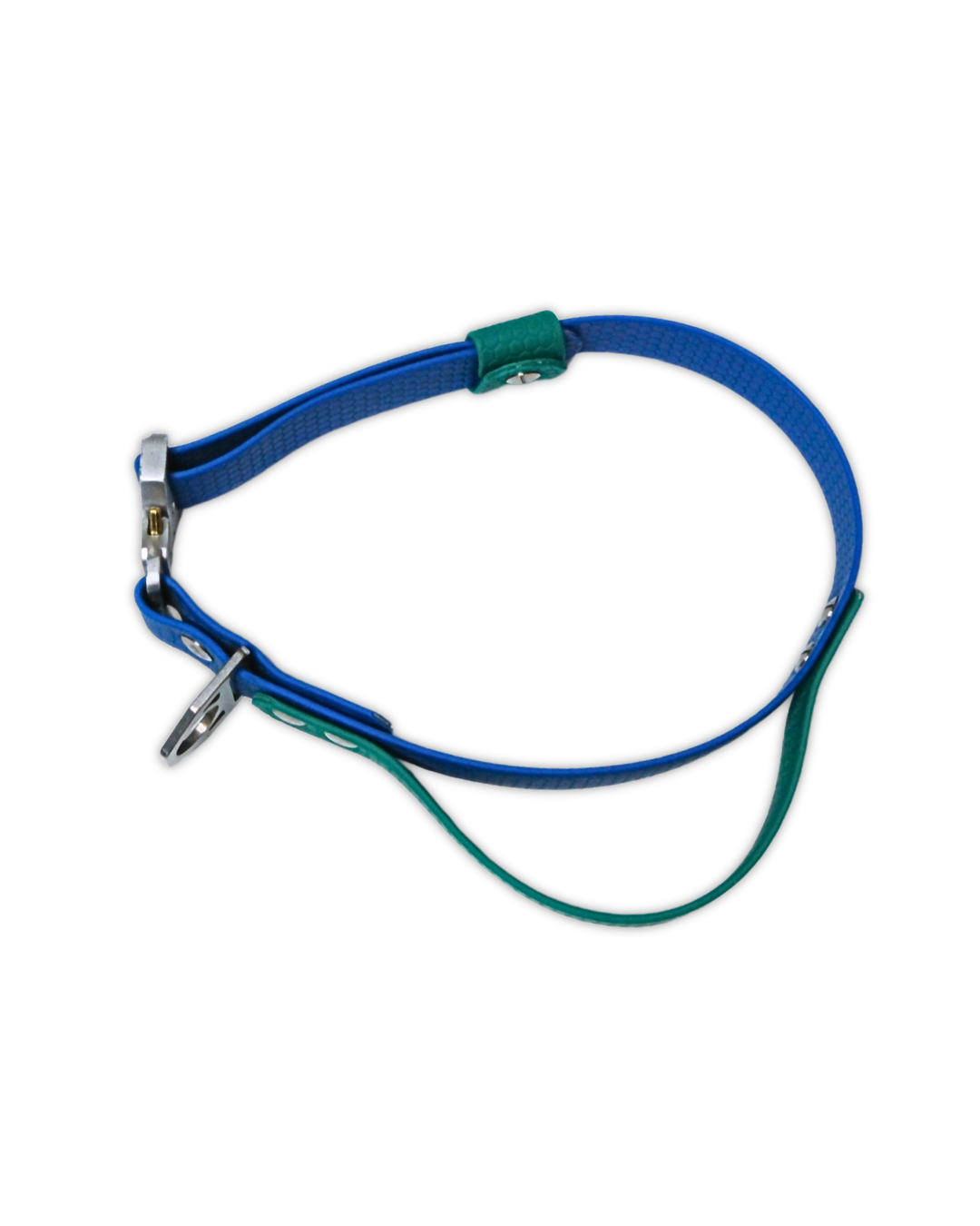 AniLux Hundehalsband Edelstahl mit Griff - Grün und Blau