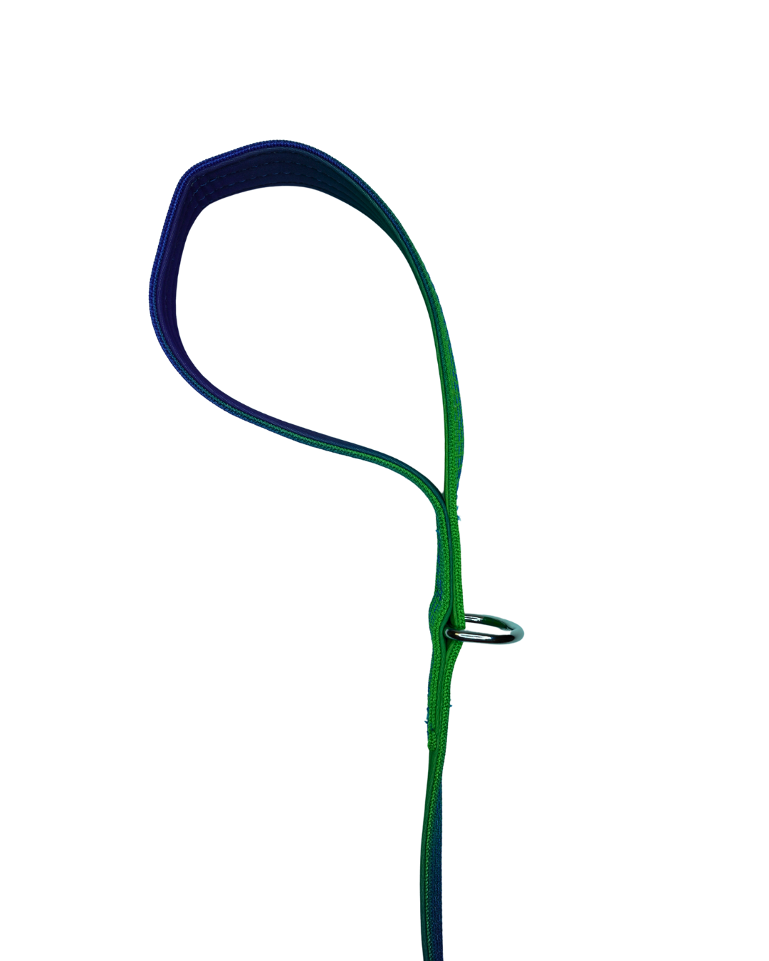 AniLux Hundeleine Colorflow