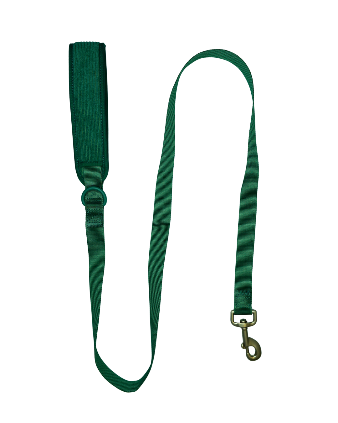 AniLux Leine Manchester