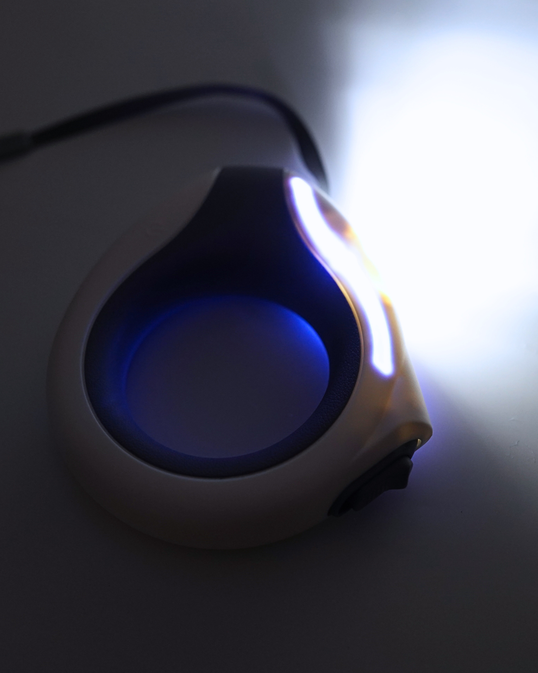 AniLux Rollleine mit Licht & Taschenlampe