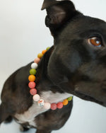 AniLux Signature Schmuckhalsband – Adventure Ahead - AniLux