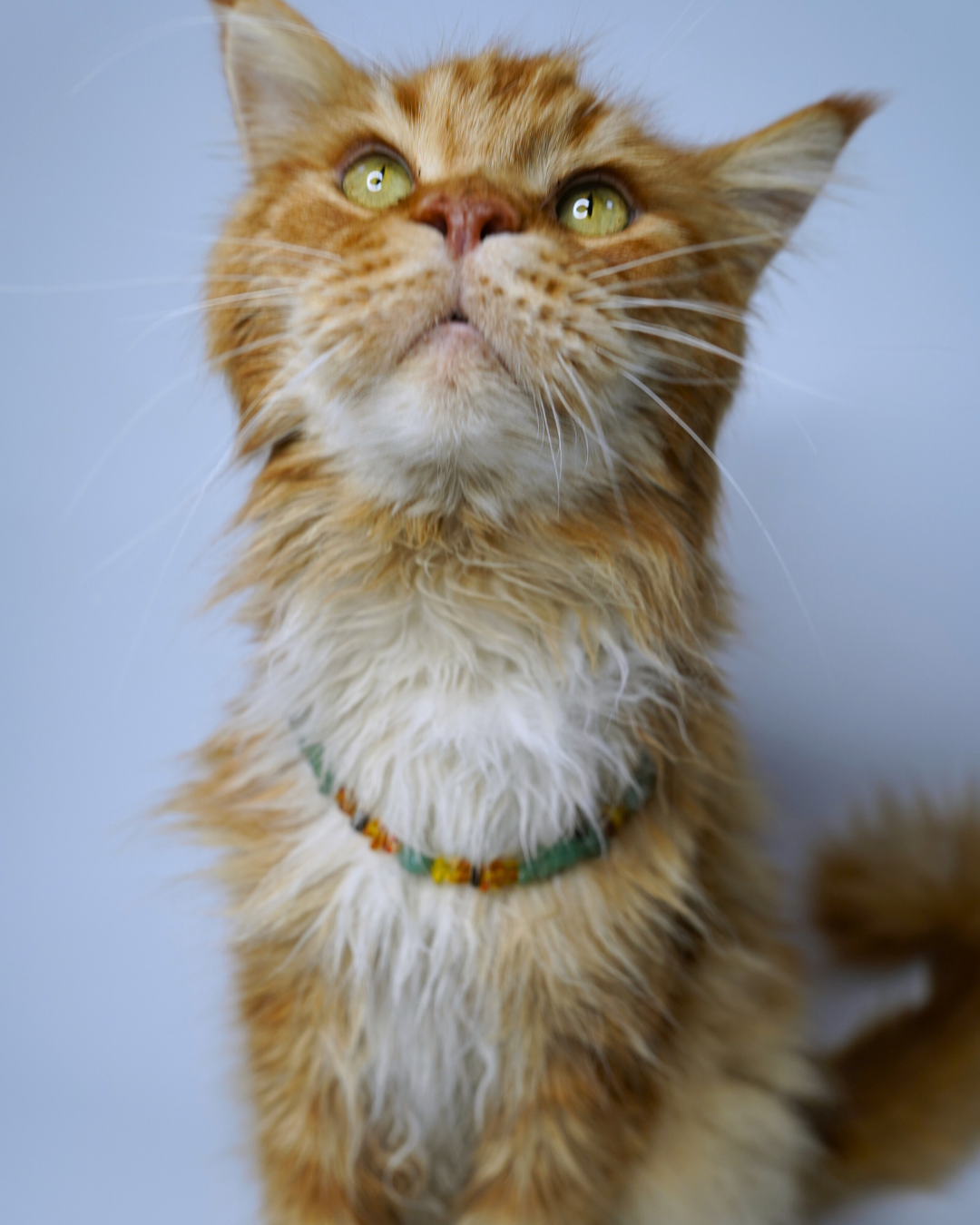 AniLux Signature Schmuckhalsband – Amber Green Harmony