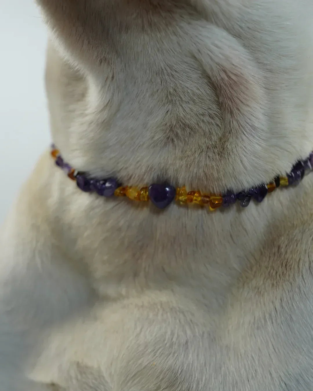 AniLux Signature Schmuckhalsband – Amethyst Harmony