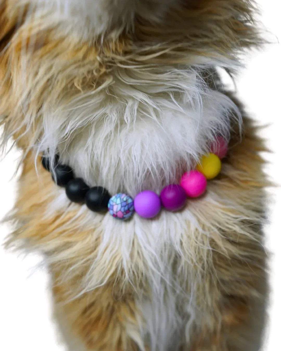 AniLux Signature Schmuckhalsband – Black Rainbow - AniLux