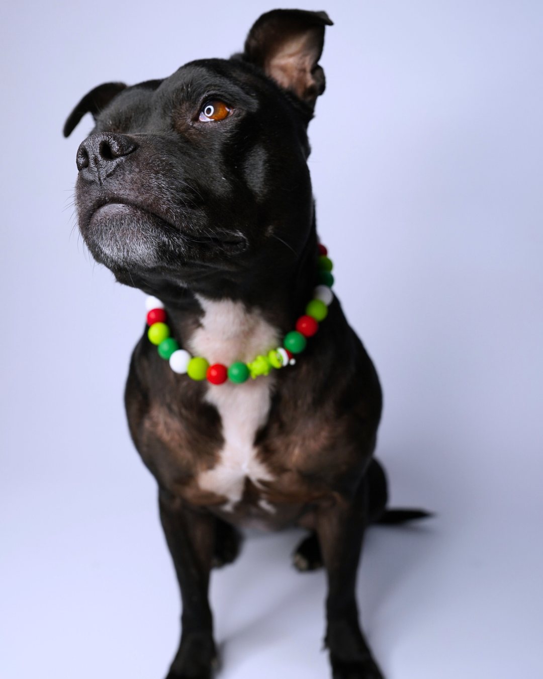 AniLux Signature Schmuckhalsband – Christmas Mayhem