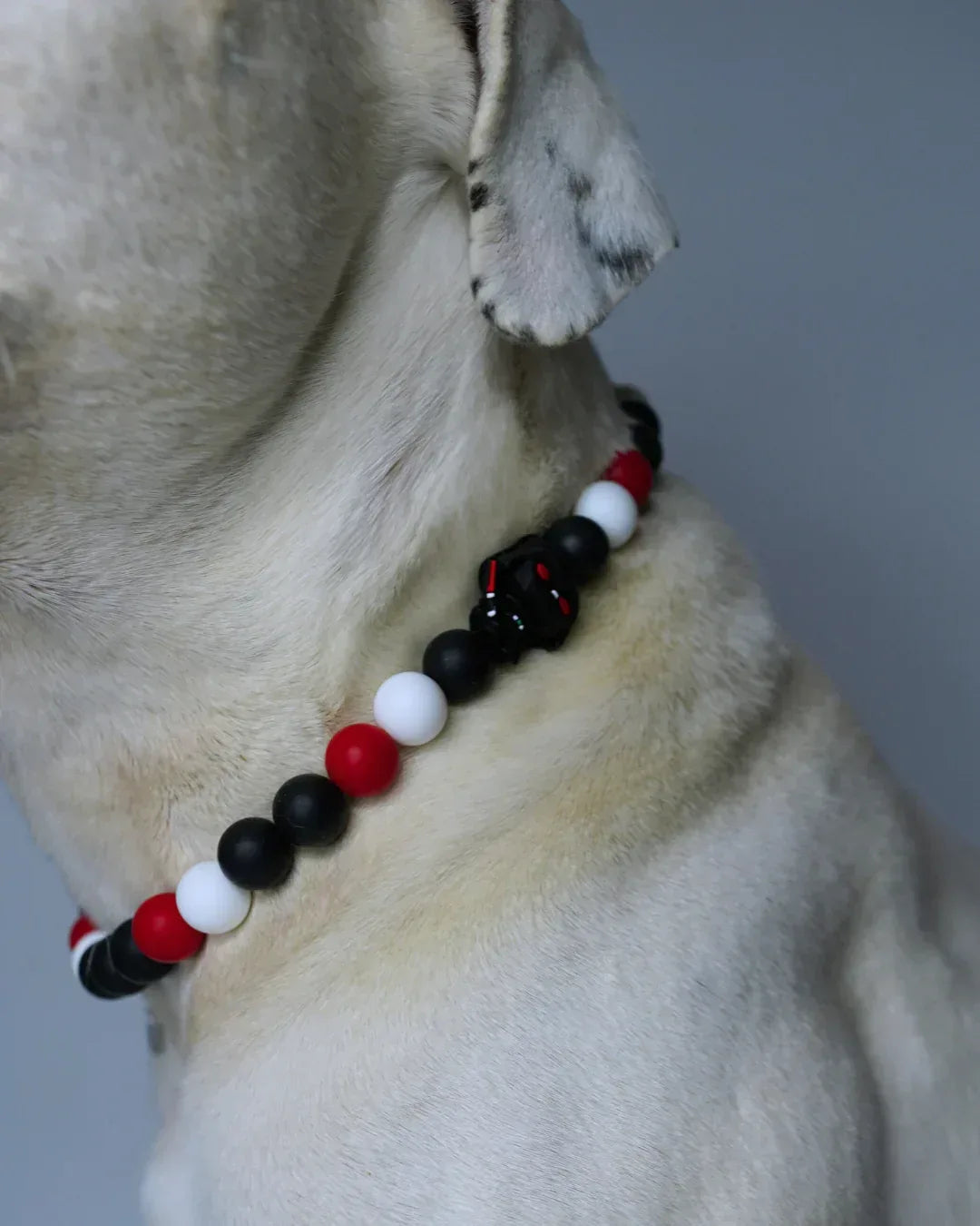 AniLux Signature Schmuckhalsband – Dark Lord - AniLux