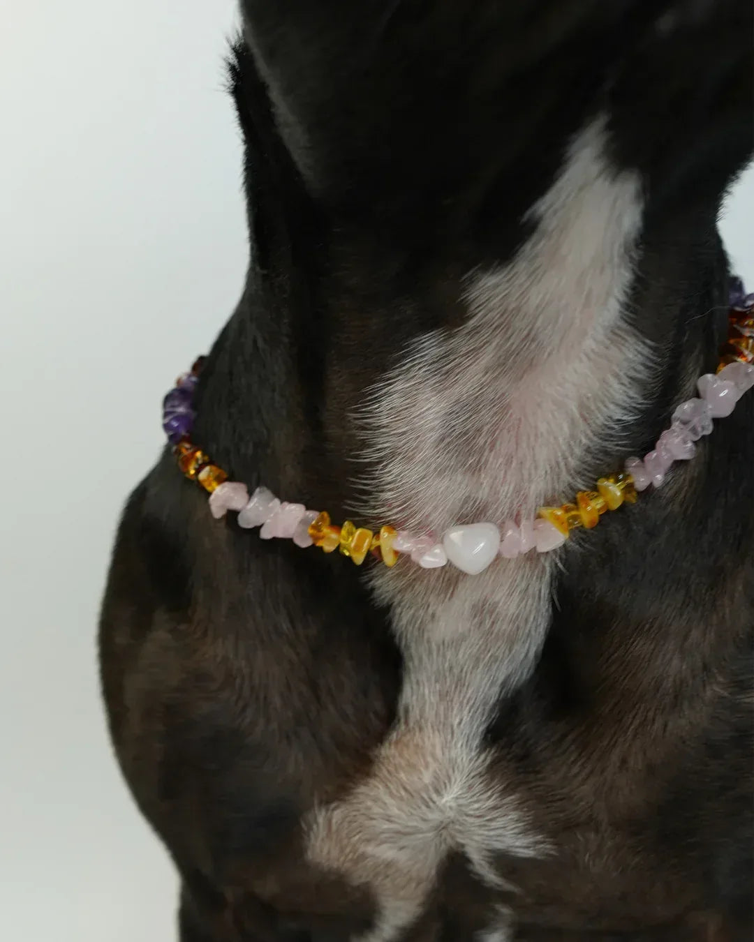 AniLux Signature Schmuckhalsband – Harmony Tricolor