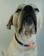 AniLux Signature Schmuckhalsband – Midnight Muse - AniLux