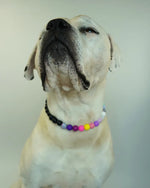 AniLux Signature Schmuckhalsband – Midnight Muse - AniLux