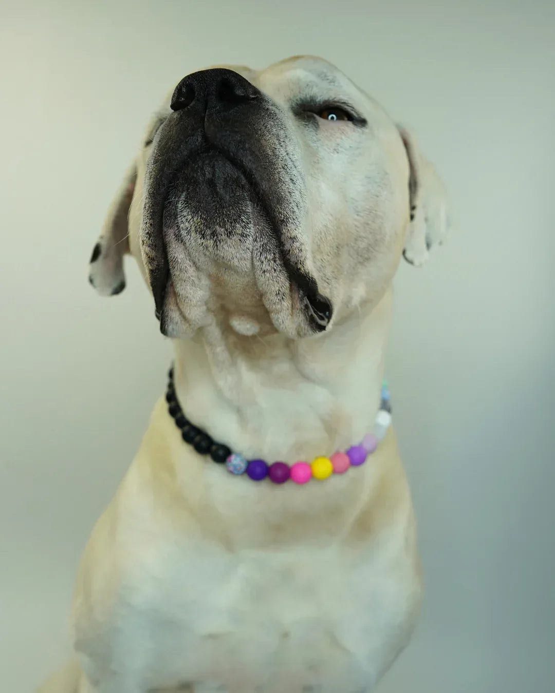 AniLux Signature Schmuckhalsband – Midnight Muse - AniLux