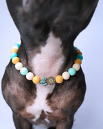 AniLux Signature Schmuckhalsband – Mystic Dreamcatcher - AniLux