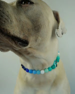 AniLux Signature Schmuckhalsband – Ocean Paw - AniLux