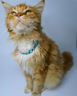 AniLux Signature Schmuckhalsband – Ocean Soul - AniLux