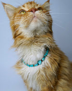 AniLux Signature Schmuckhalsband – Ocean Soul - AniLux