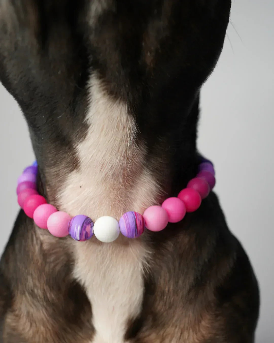 AniLux Signature Schmuckhalsband – Purple Flow - AniLux