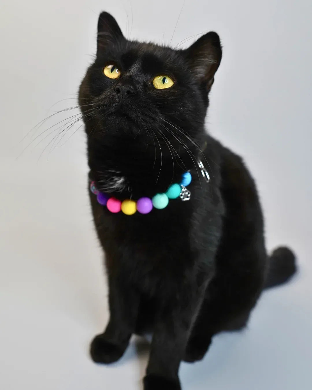 AniLux Signature Schmuckhalsband – Raven’s Window - AniLux