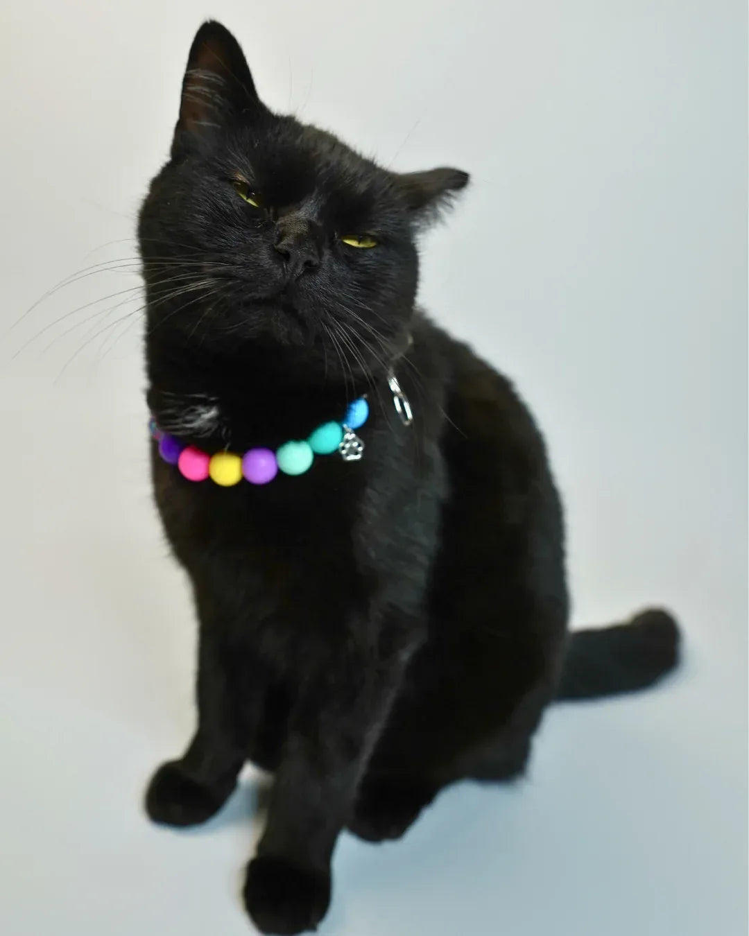 AniLux Signature Schmuckhalsband – Raven’s Window - AniLux