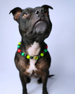 AniLux Signature Schmuckhalsband – Rebel Heart - AniLux