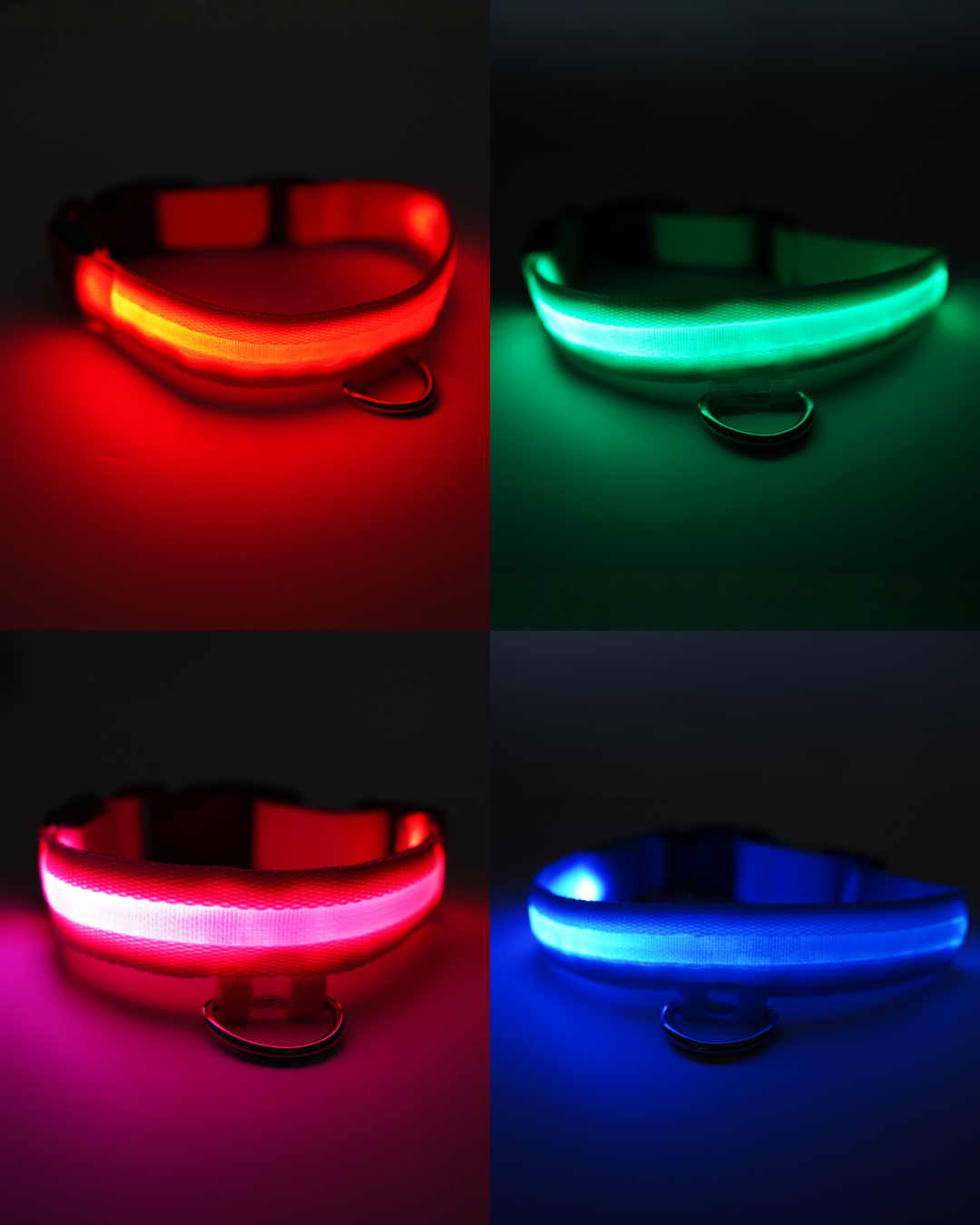 AniLux Leuchthalsband wiederaufladbar