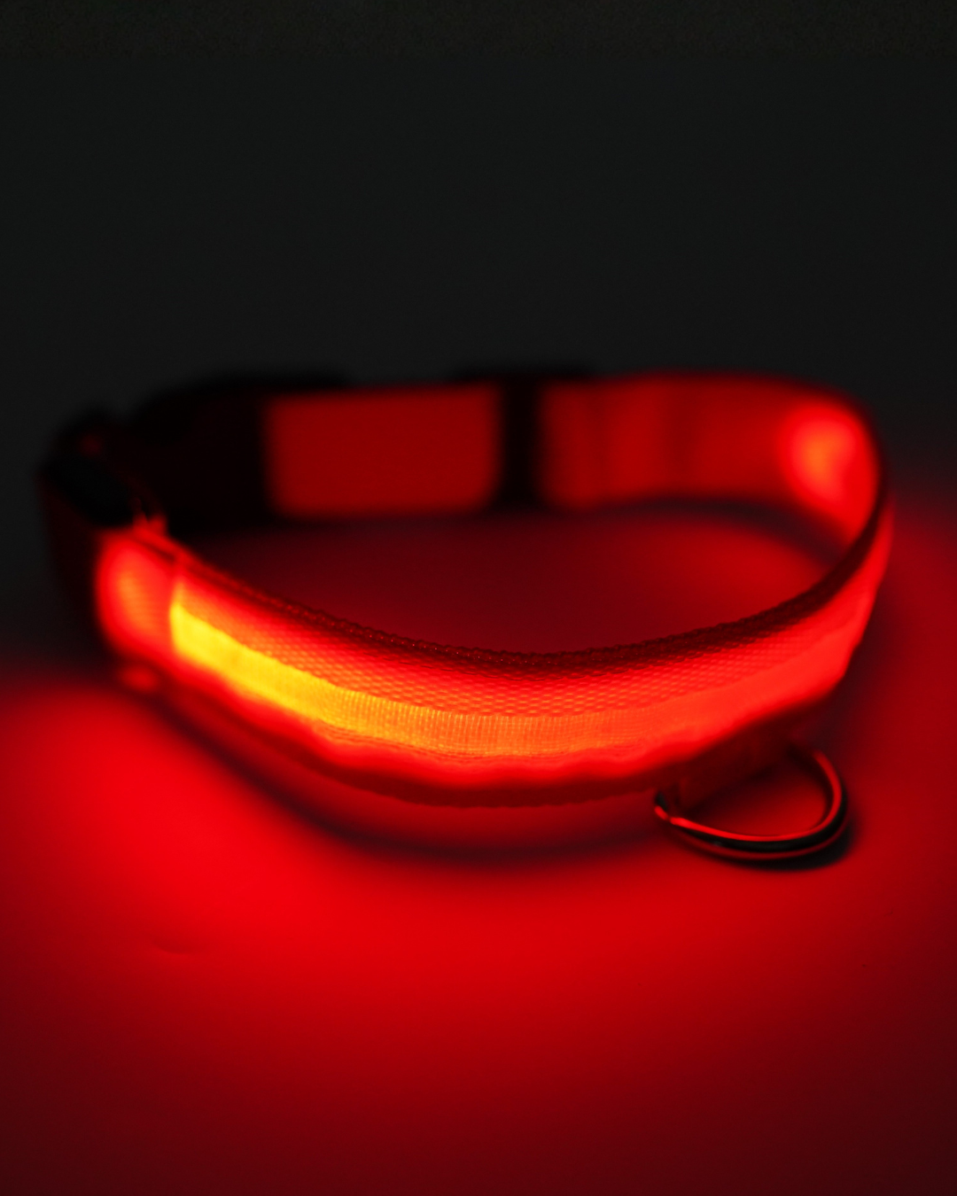 AniLux Leuchthalsband wiederaufladbar