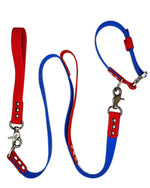 AniLux Hundeleine & Halsband Set - Rot und Blau - AniLux