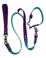 AniLux Hundeleine & Halsband Set - Violett und Grün - AniLux