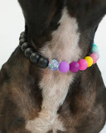 AniLux Signature Schmuckhalsband – Rebel Rainbow - AniLux