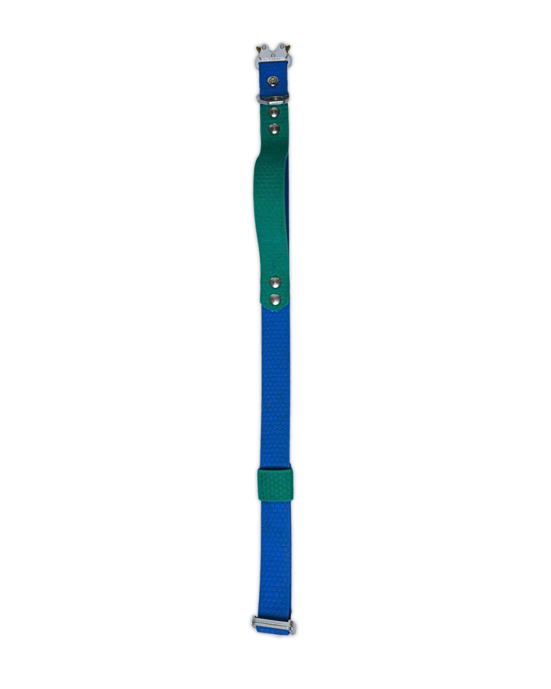 AniLux Hundehalsband Edelstahl mit Griff - Grün und Blau