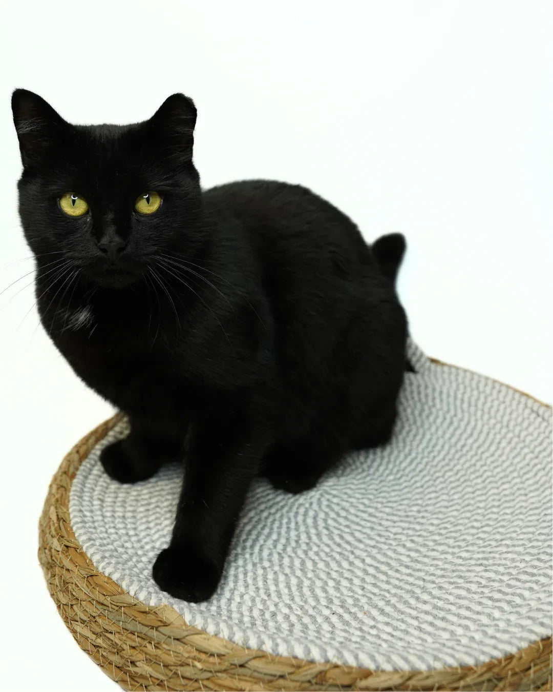 Katzenbett aus Naturmaterialien