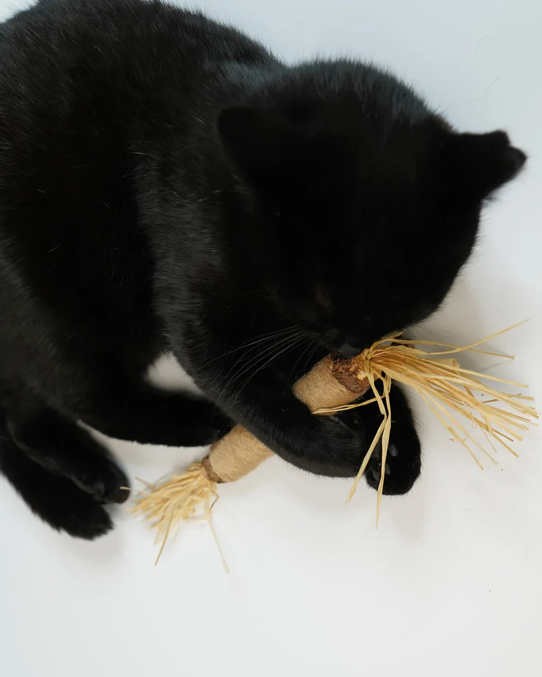 Katzenspielzeug aus Naturmaterialien