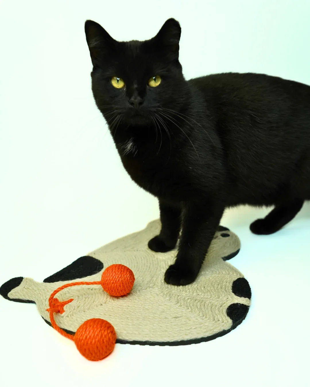 Kratzmatte Katze mit Spielbällen
