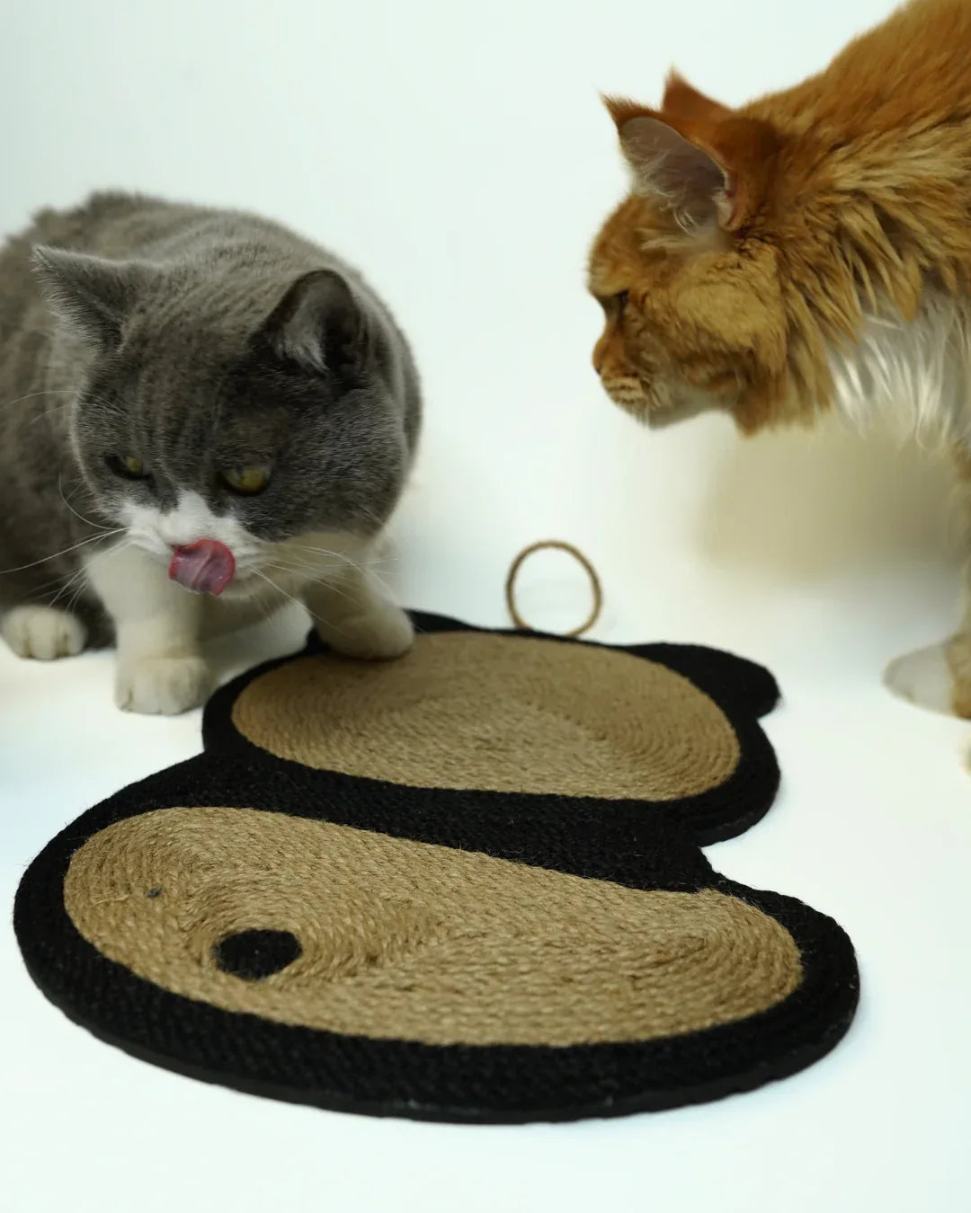 Kratzmatte Panda mit Aufhängeschlaufe - AniLux