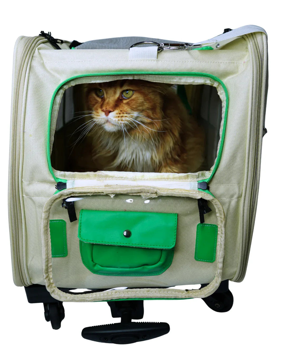 Transportbox mit Rollen für Katzen und kleine Hunde - AniLux