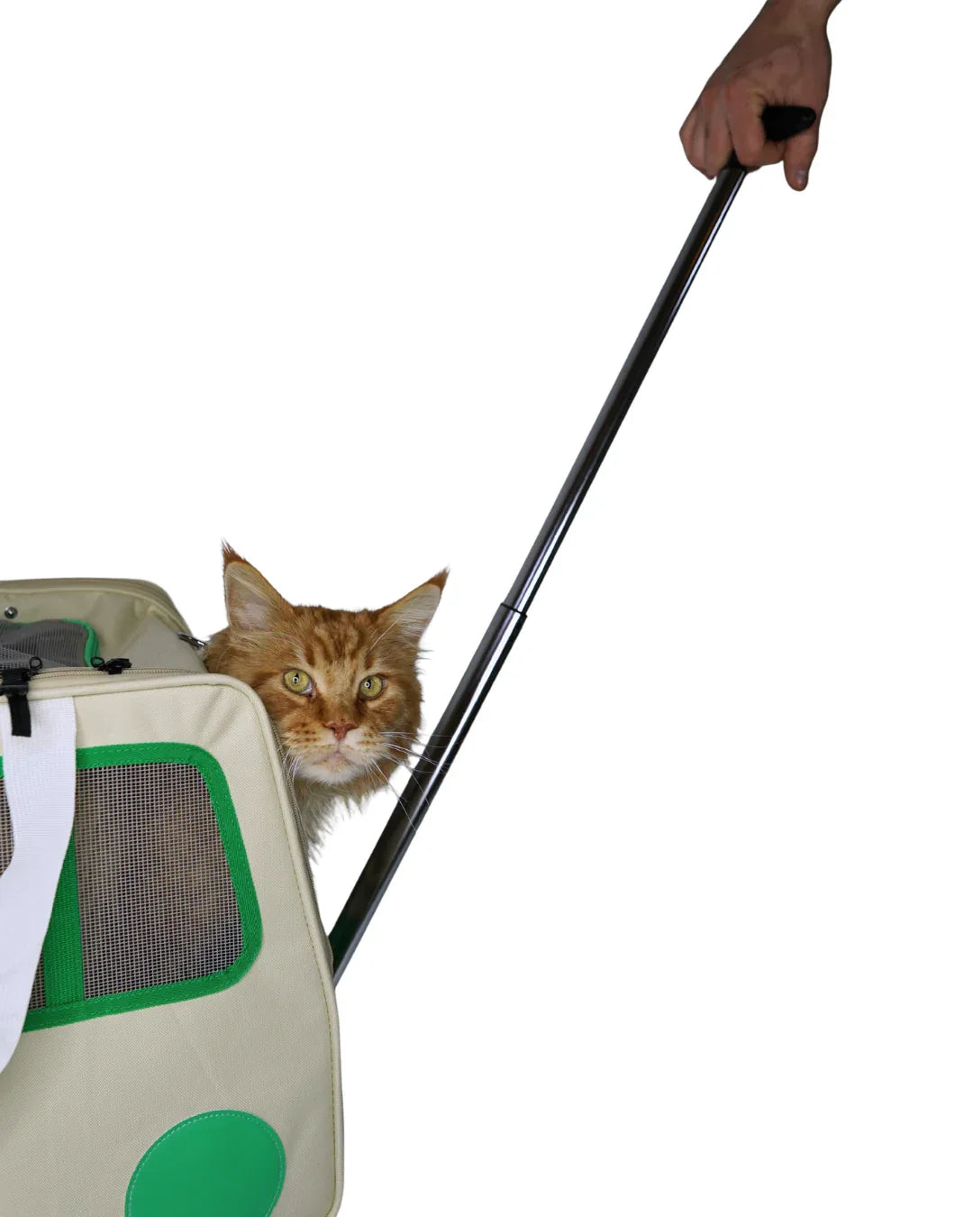 Transportbox mit Rollen für Katzen und kleine Hunde - AniLux